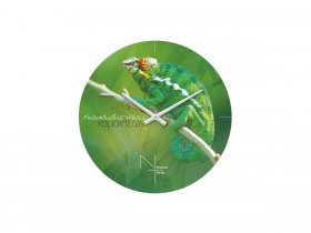 Часы настенные Nicole Time NT503 в Усть-Тарке - ust-tarka.mebel-nsk.ru | фото